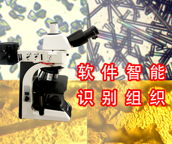 电脑型三目倒置金相显微镜